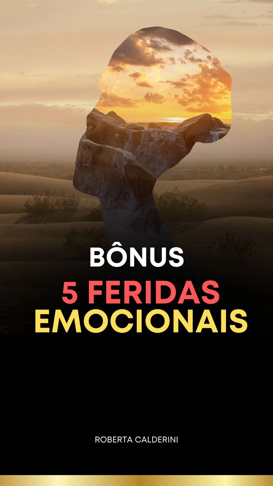 capa_6