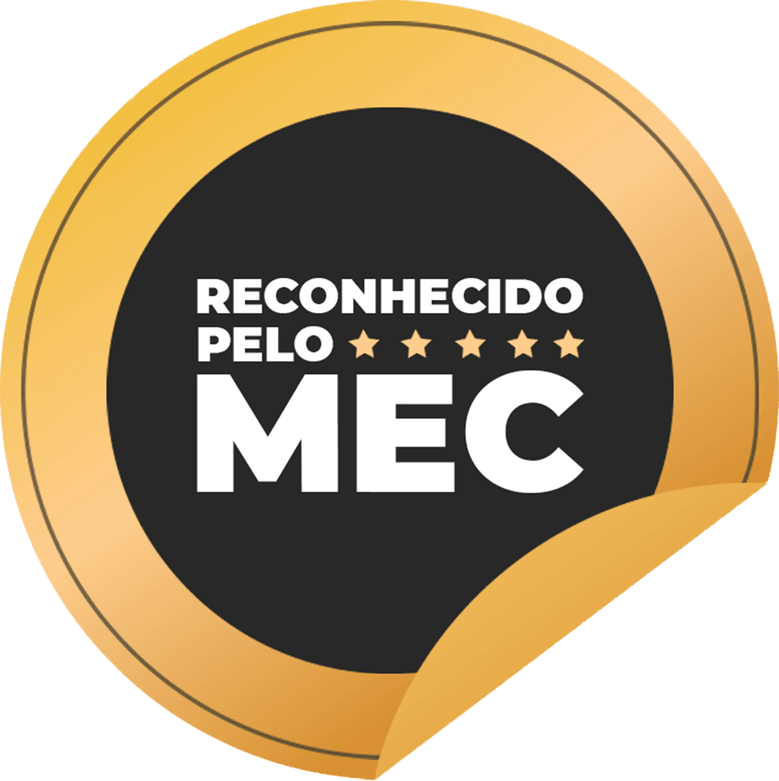 mec_logo_selo.webp